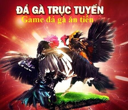 Đá Gà Trực Tiếp ở Việt Nam – Một Truyền Thống Hấp Dẫn